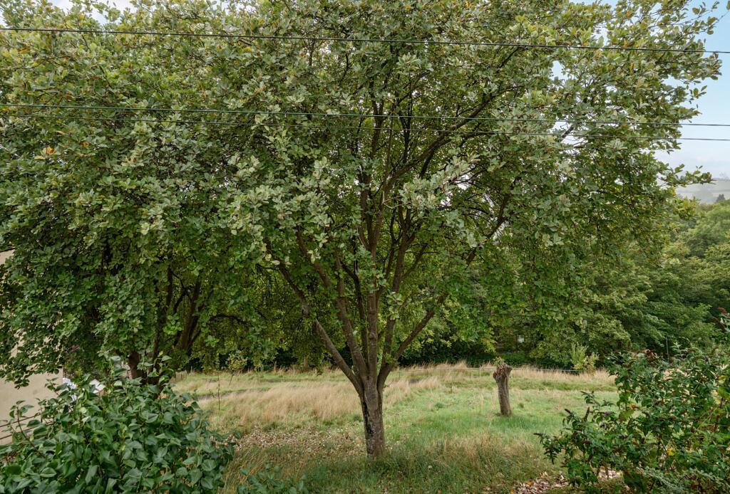 1343514-10-68b820...