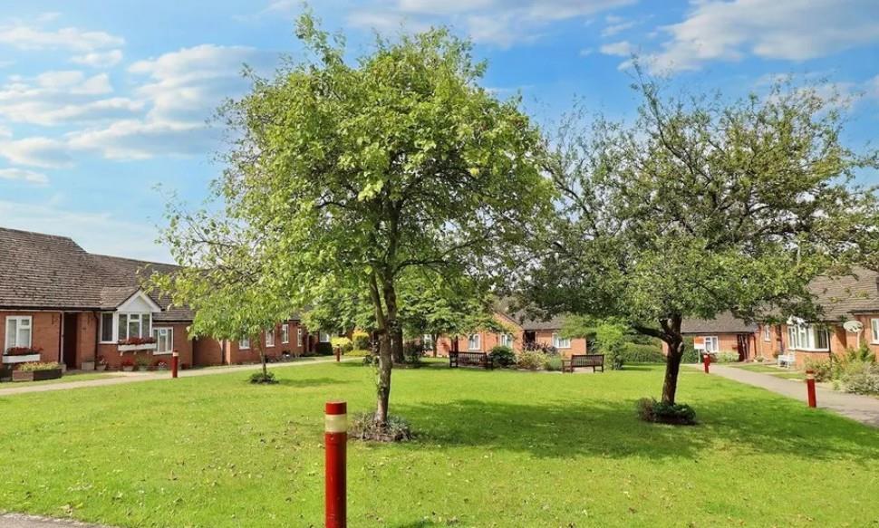 Communal Grounds.jpg