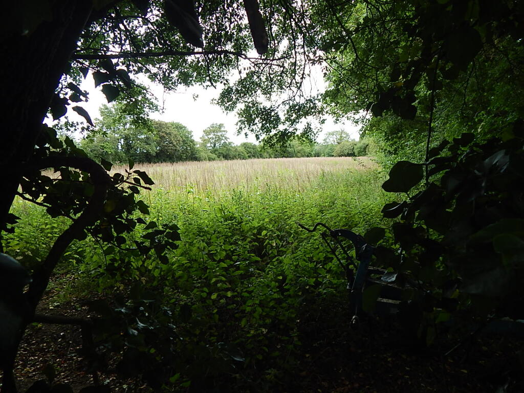 13 T202509241148.jpg