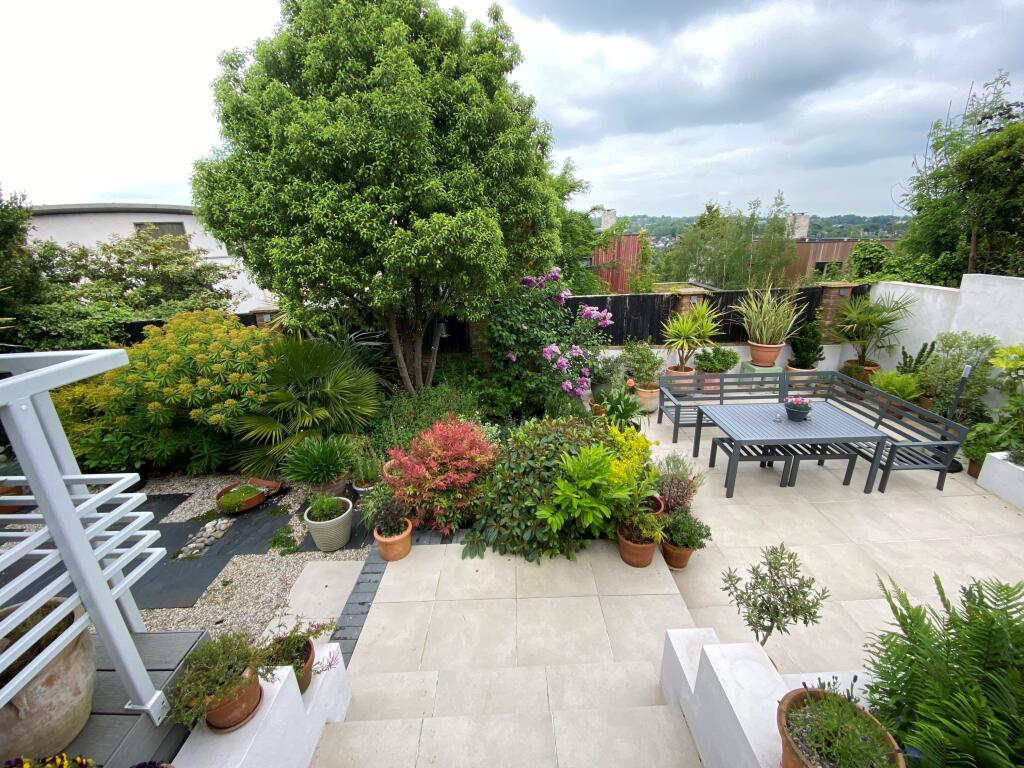 summergardendaytime