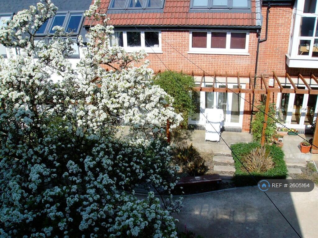 Pretty Shared Back Garden