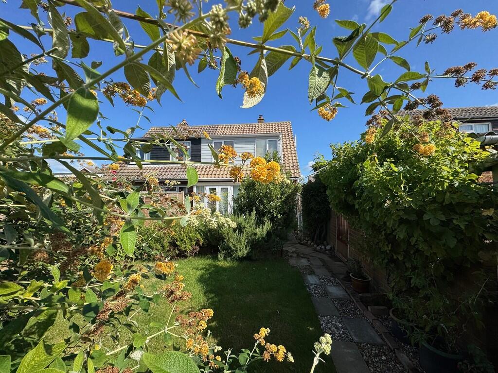 11 hancocks back ...