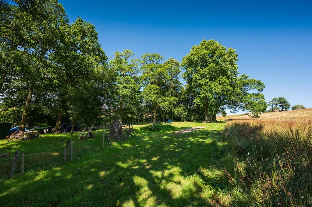 Site