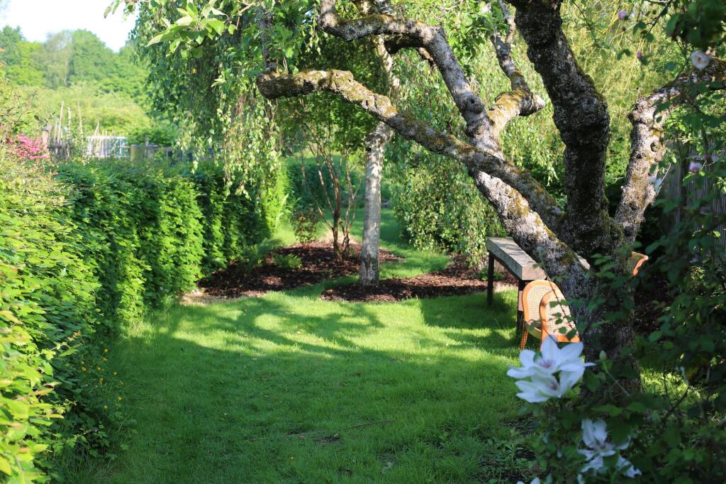 Vendor¿s photo from Spring