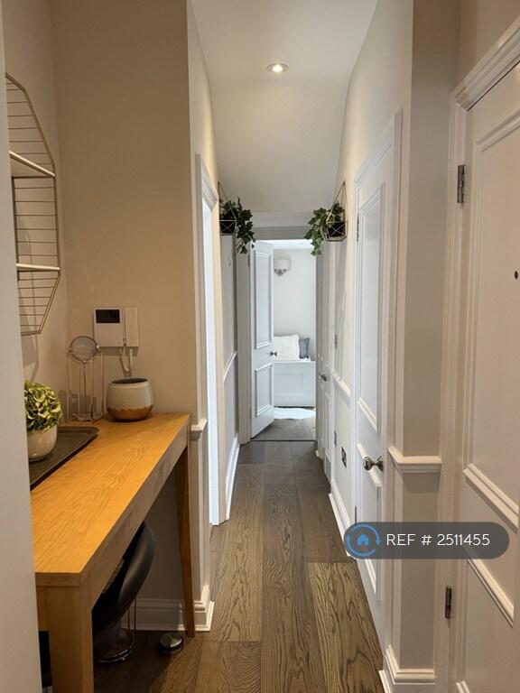 Hallway/Small Closet