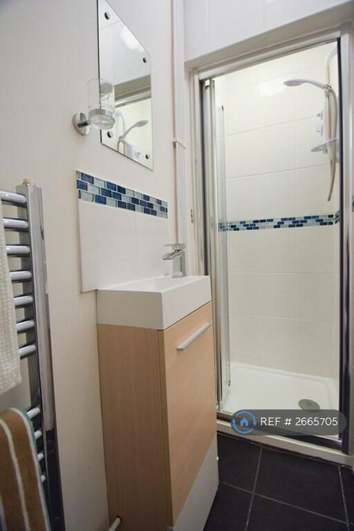 Downstairs Toilet And Shower Room