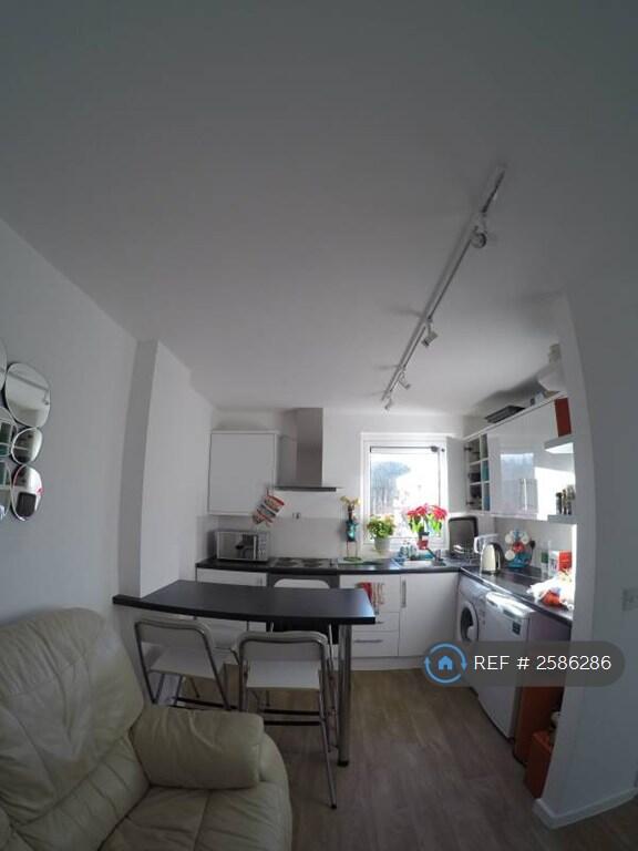 Kitchen/Living Space