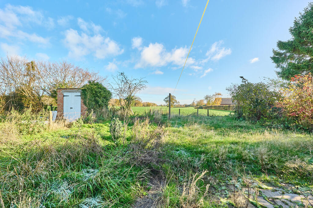 P1617178 T202511201646.jpg