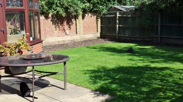 Rear garden