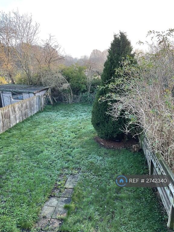 Back Garden