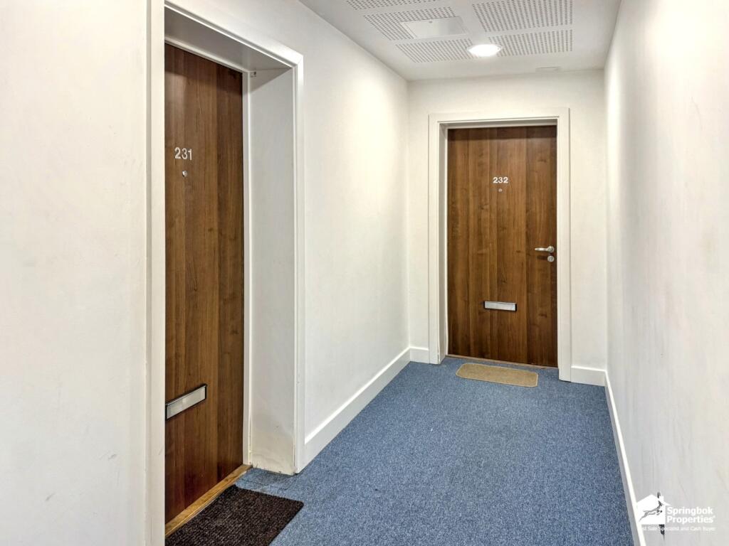 IMAGE 15