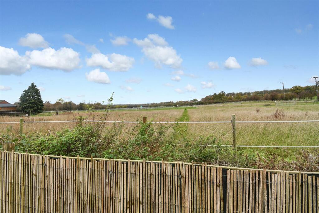 Open Field Views