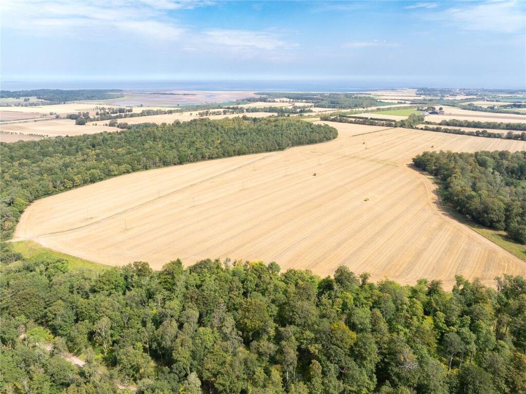 Lot 2 - Field 7