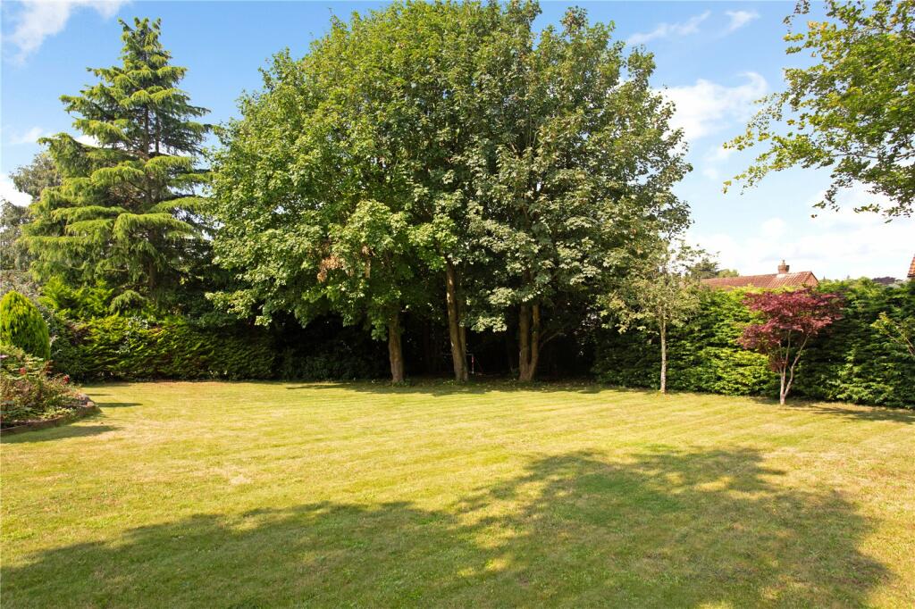 Back Garden