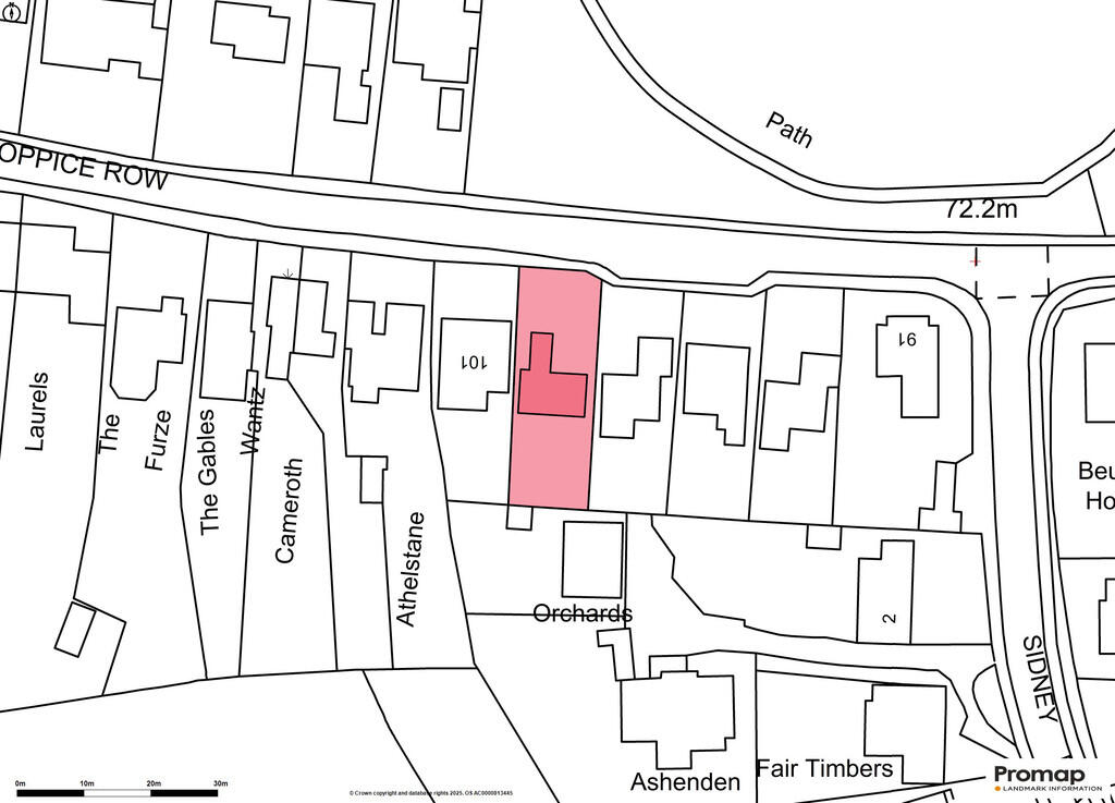 p Promap-3066270-...