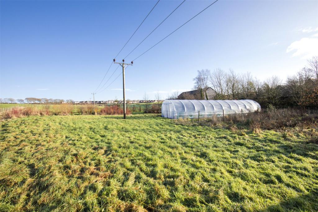 Paddock/Polytunnel