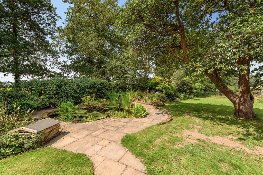 Garden 1