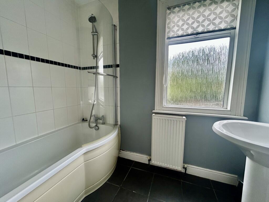 11  Medium  T202510081515.jpg