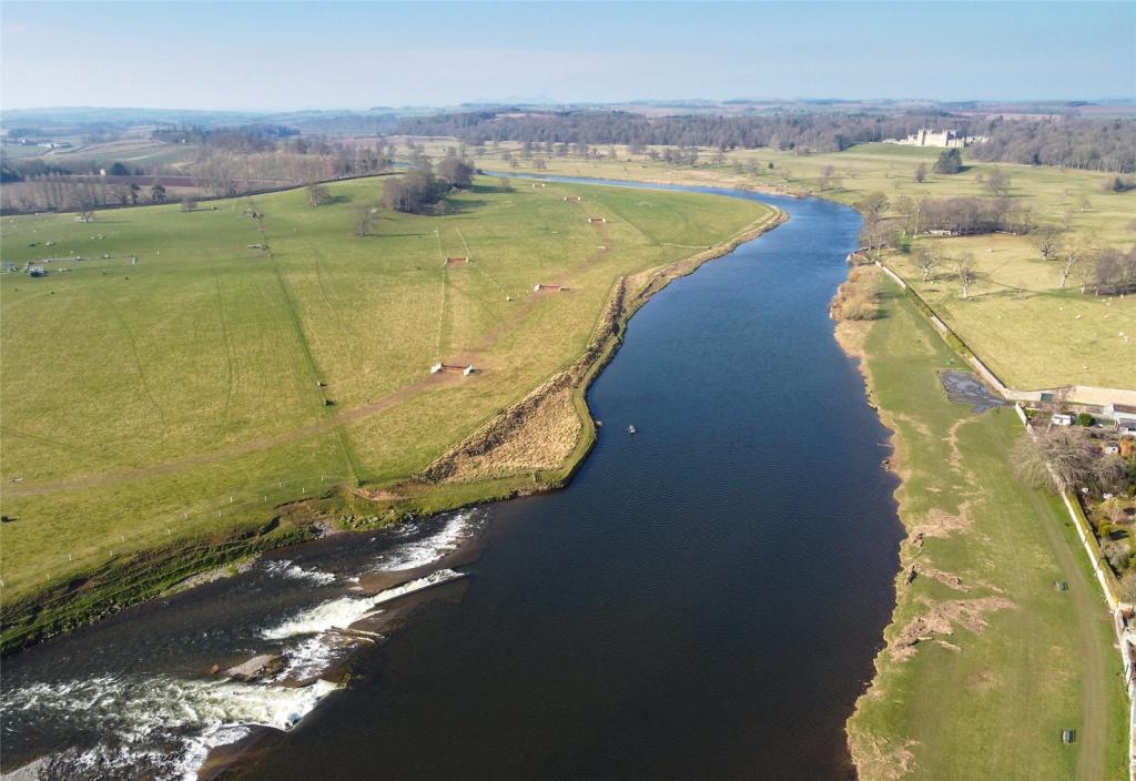 River Tweed/Cobby