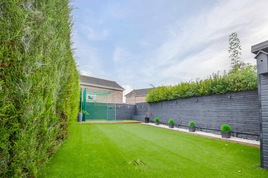 Back garden 1.1