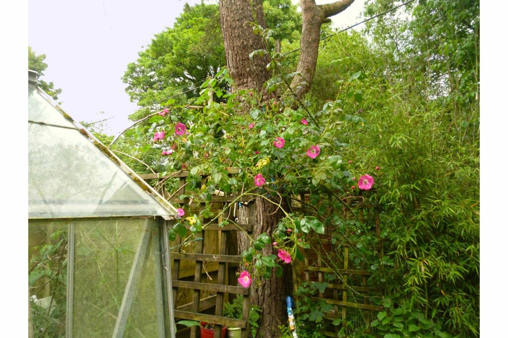 Upper Garden