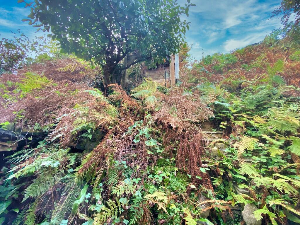 Photo 12-11-2024,...