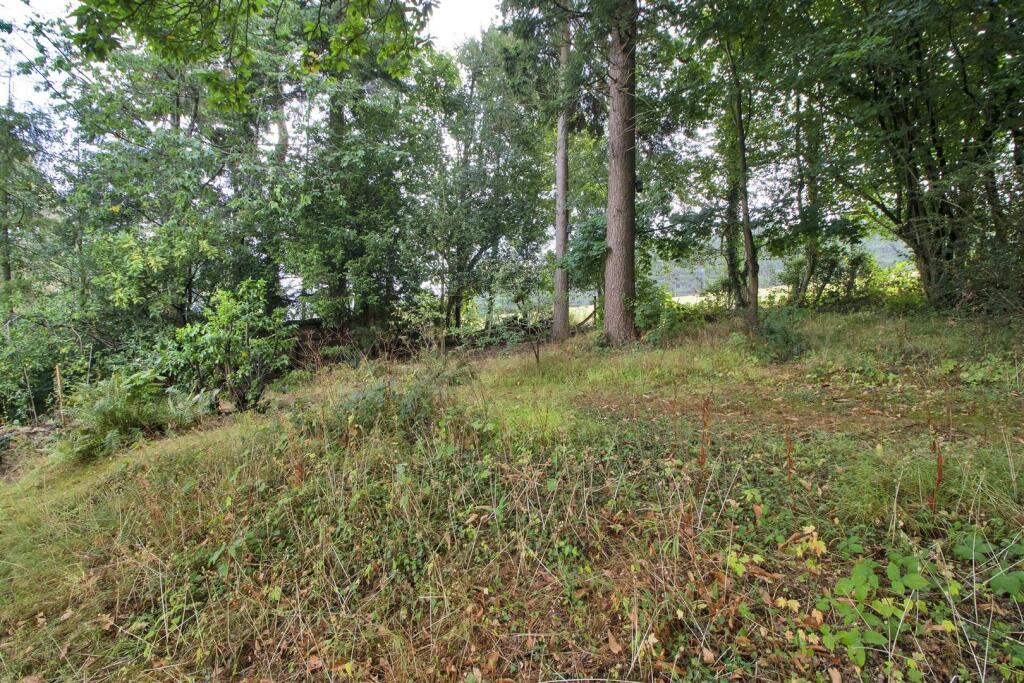 Upper Garden.jpg