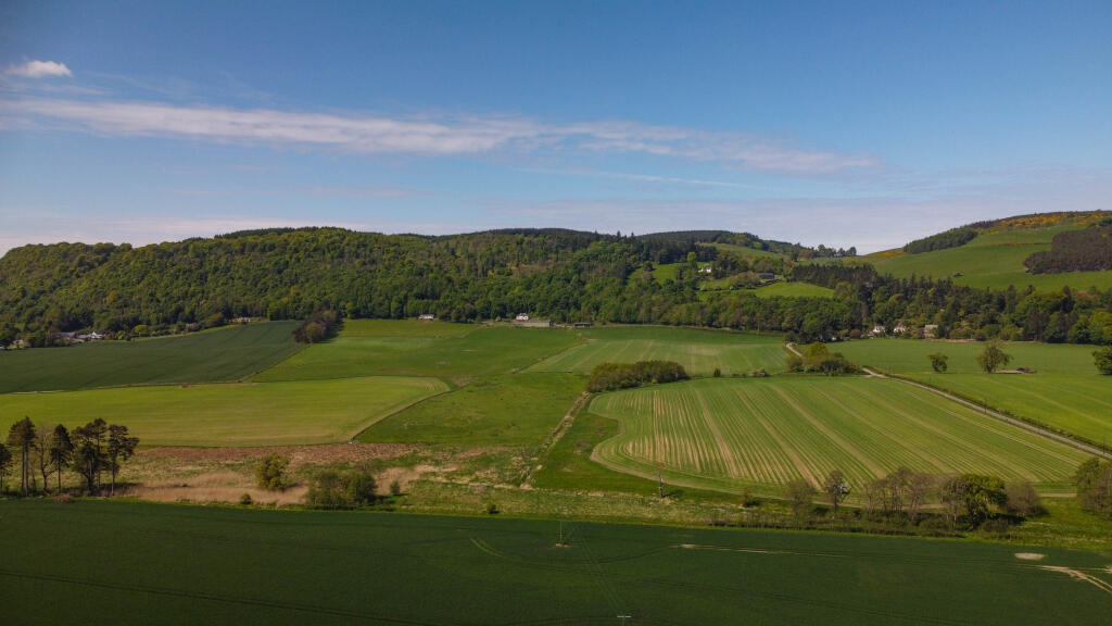 View Of The Surroundings