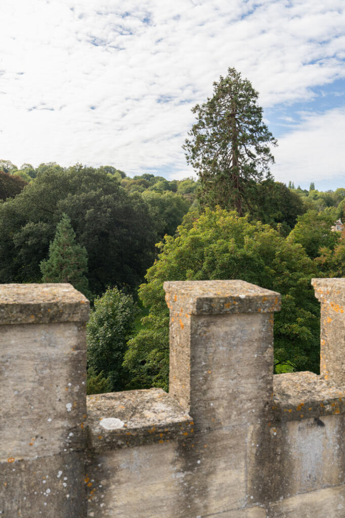 313939 - AshfordsTower_HighRes-33.jpg