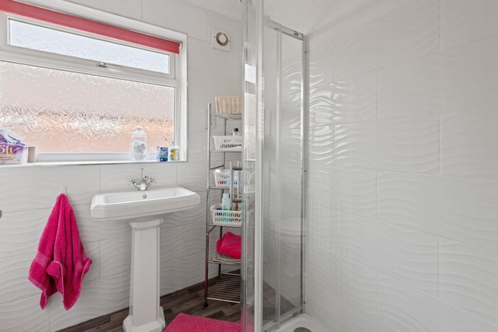 3986950  Medium  T202510281636.jpg