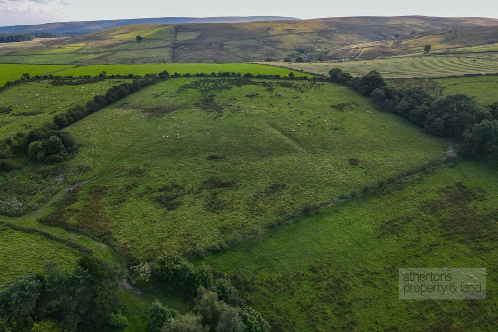 DJI_0808.jpg