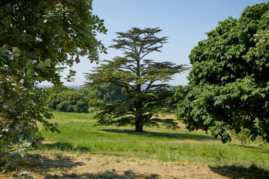 Land