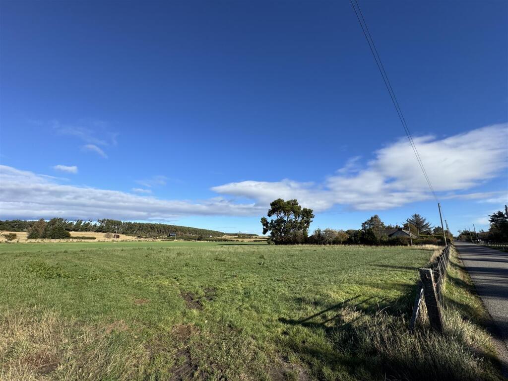 Plot 2 - Field