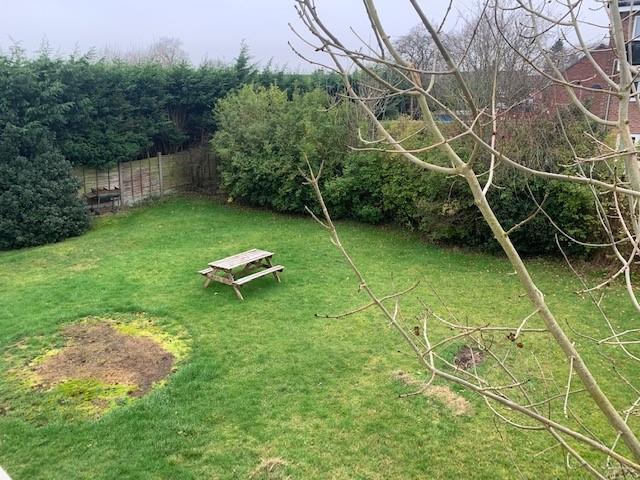 Garden 1.jpg