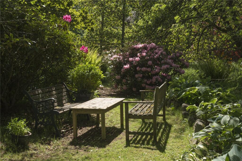 Picture No. 35