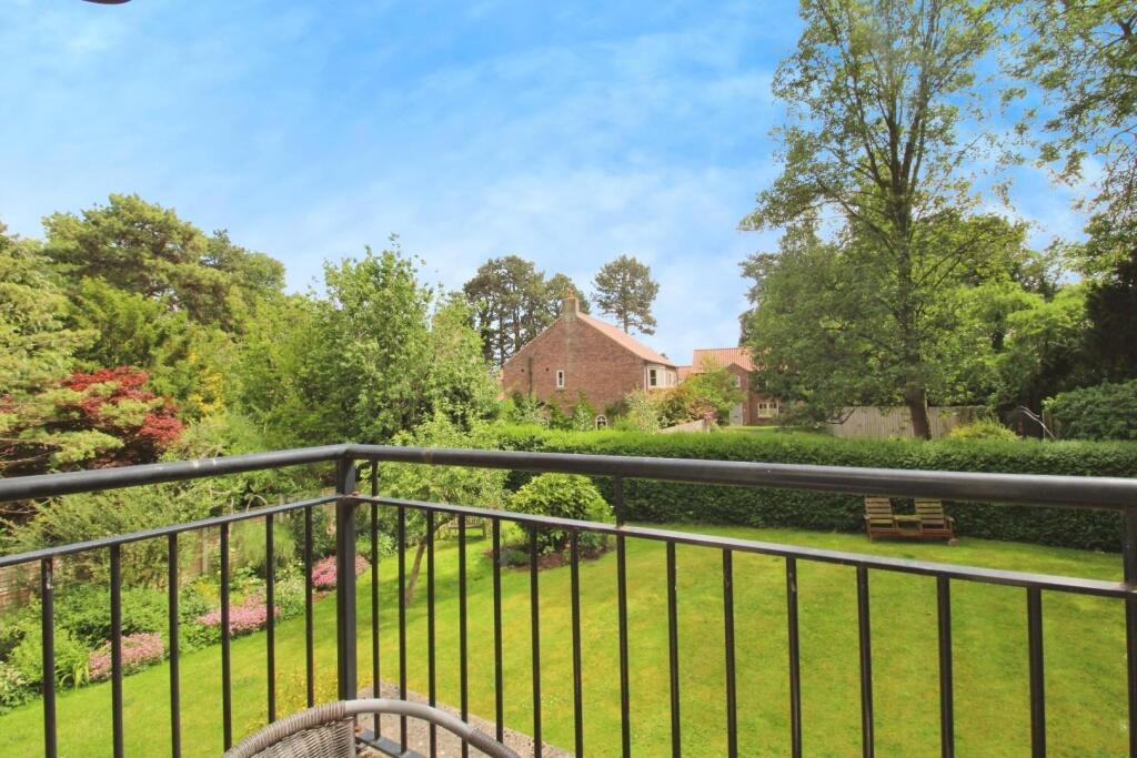 user_edited_photo-1f34b600_user-edited-82a2cf27-ff