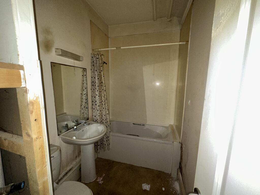 IMG 2459 T202503111602.jpeg