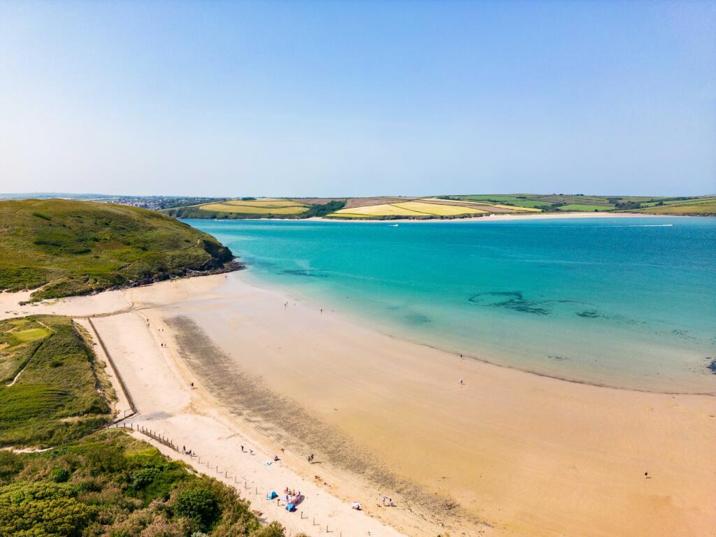 65323c362b115_Little Torquil_15