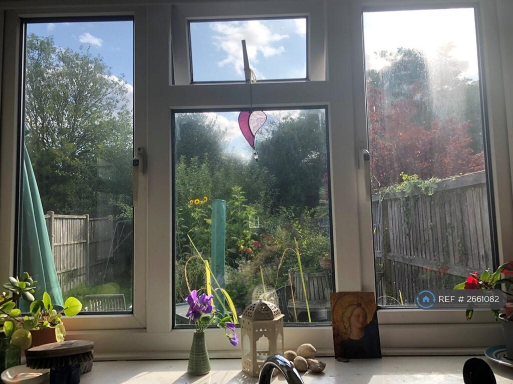 View From Kitchen Window