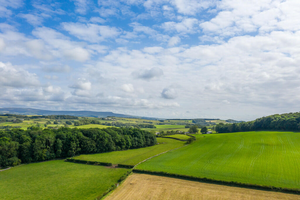 DJI_0459