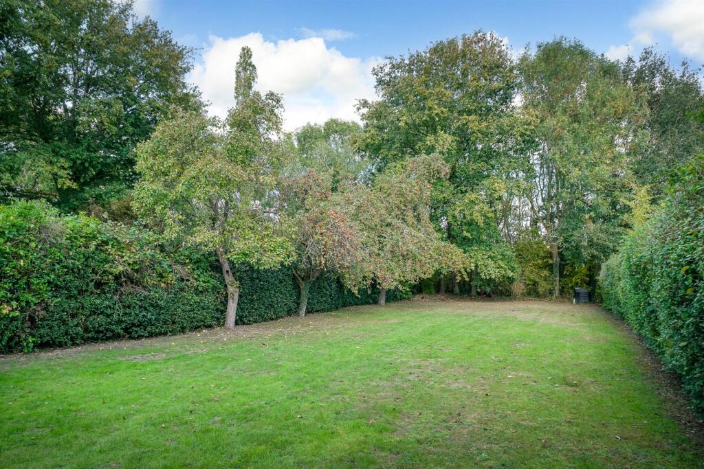 Garden 2