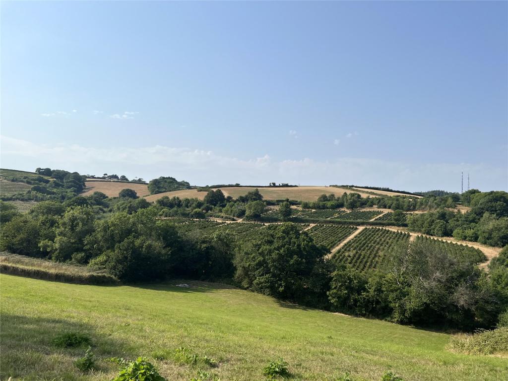 Outlook