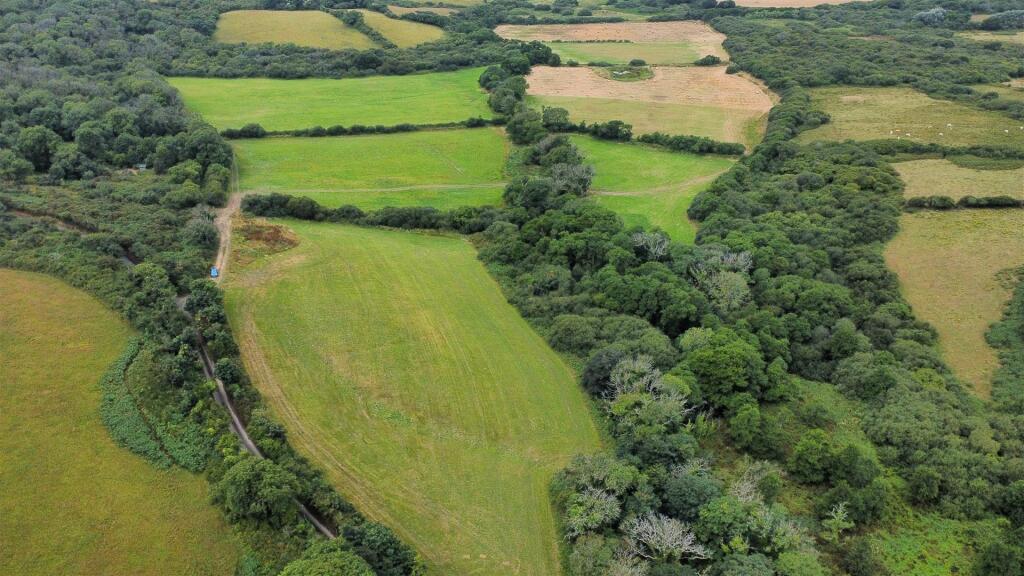 dji_fly_20250716_105812_460_1752659947312_photo_op