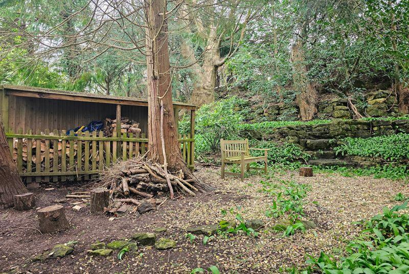 Woodland clearing