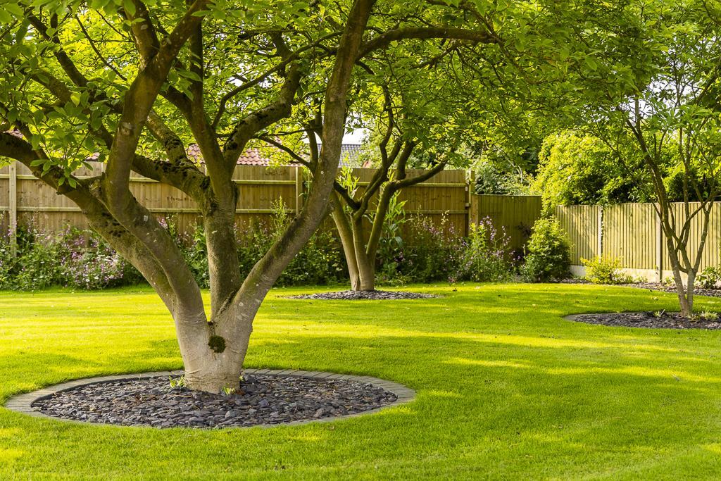 131 Main Road (Quadring)-14.jpg