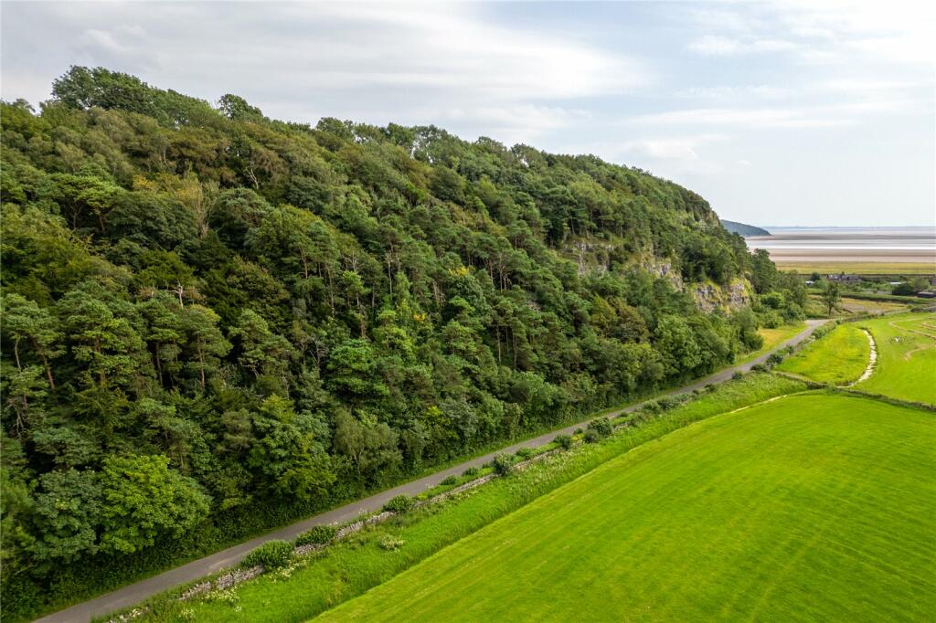 Woodland &amp; Rockface