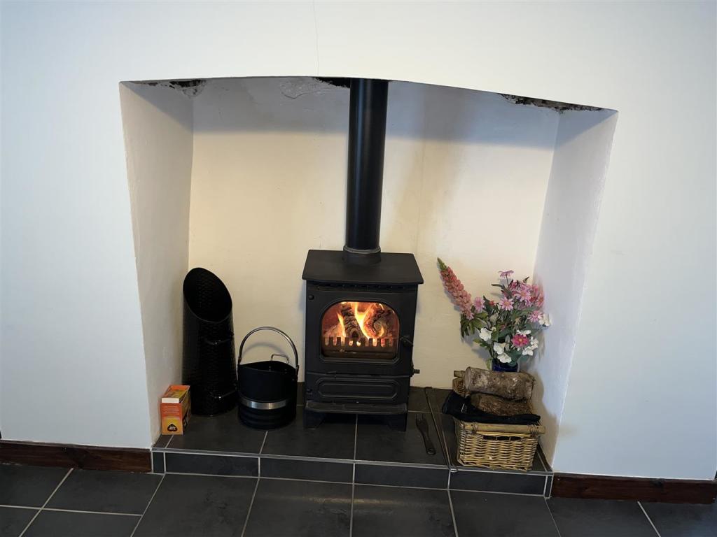 living room woodburner.JPG