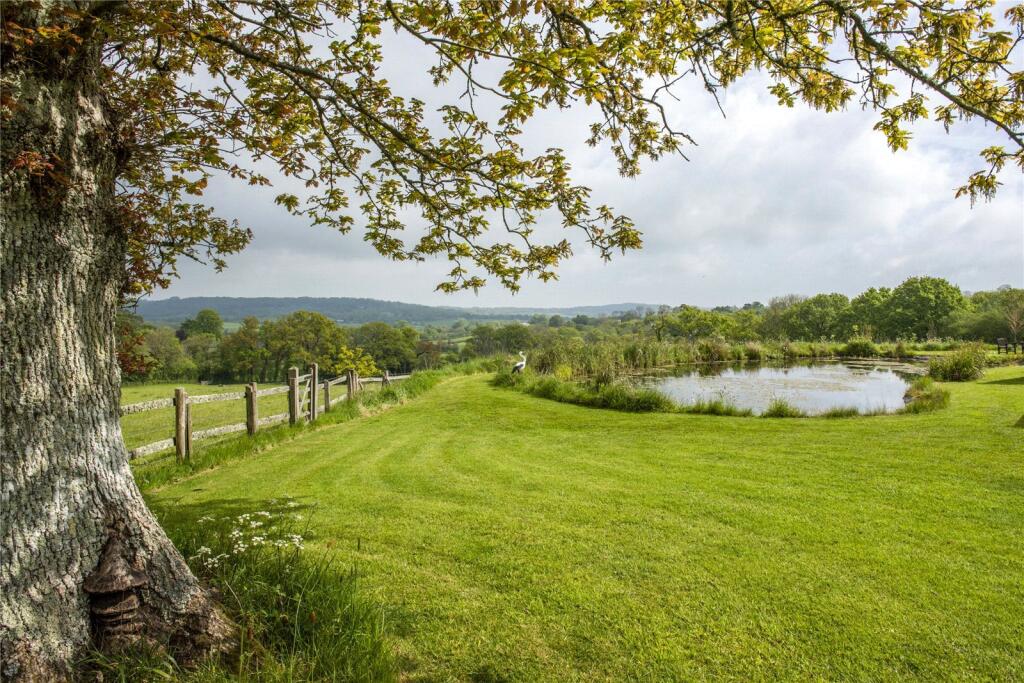 View Across Pond