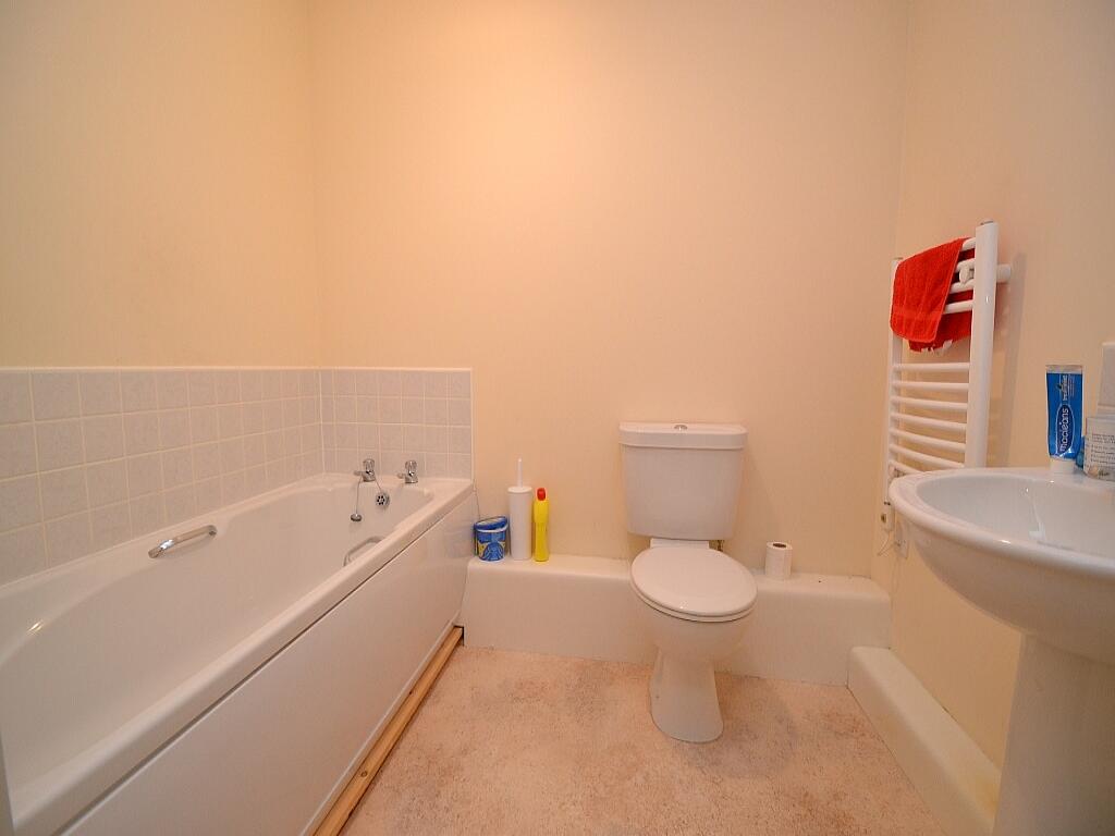 Photograph 6