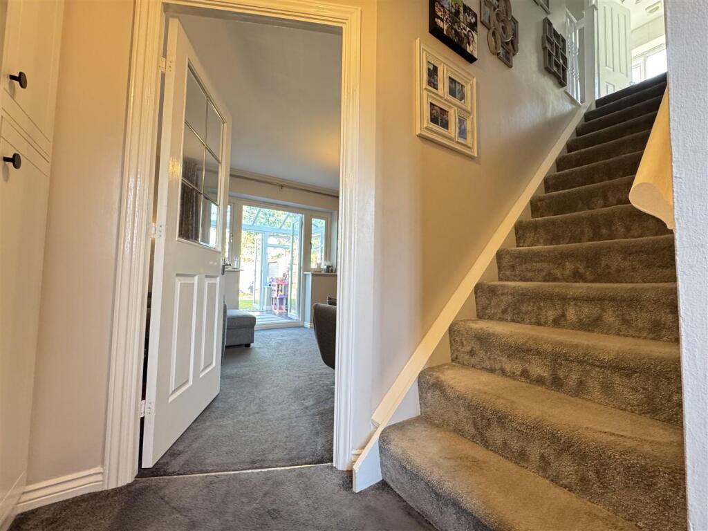 IMG_6302 (Large).JPG